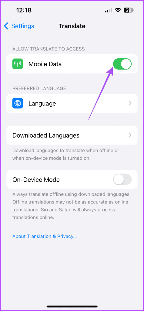 enable mobile data use translate app iphone